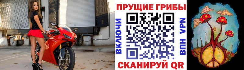 Галлюциногенные грибы Magic Shrooms  Купить  Щёкино 